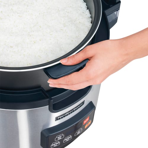 Hamilton Beach 90 Cup Commercial Rice Cooker - Stainless, 240v/1ph (37590)