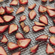 Waring WDH10 10 Tray Countertop Commercial Dehydrator w/ Glass Door