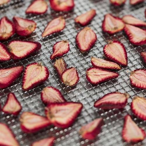 Waring WDH10 10 Tray Countertop Commercial Dehydrator w/ Glass Door