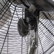 TPI CACU30P 30" Pedestal Mount Fan w/ 3 Speed Settings