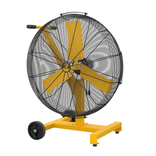 Big Ass Fans F-AE1-3001L10S34 30" AirEye Low Rider Pedestal Mount Fan, 120v