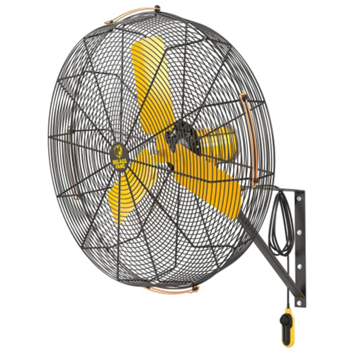 Big Ass Fans F-AE1-3001L13S34 30" AirEye Directional Wall Mount Fan, 120v