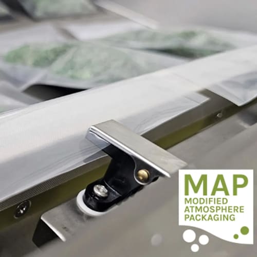 VacMaster VP545 Chamber Vacuum Sealer w/ (2) 20" Seal Bars, 110v