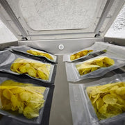 VacMaster VP545 Chamber Vacuum Sealer w/ (2) 20" Seal Bars, 110v