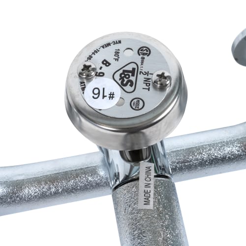 T&S B-0665-BSTR Service Sink Faucet, Vacuum Breaker Nozzle, Rough Chrome