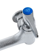 T&S B-0665-BSTR Service Sink Faucet, Vacuum Breaker Nozzle, Rough Chrome