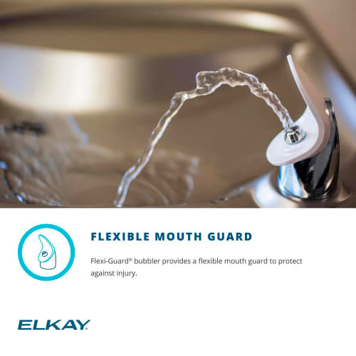 Elkay EZS8S Wall Mount Bi Level Drinking Fountain - Non Filtered, Refrigerated, Stainless