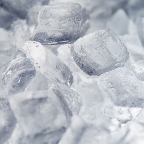 Hoshizaki KM-161BAJ 23 3/4"W Crescent Cube Undercounter Ice Machine - 163 lbs/day, Air Cooled, ADA
