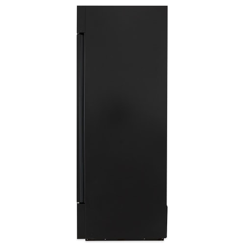 True GDM-26F-HC~TSL01 30" One Section Display Freezer w/ Swing Door - Bottom Mount Compressor, Black, 115v