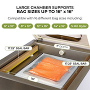 VacMaster VP321 Chamber Vacuum Sealer w/ (2) 17" Seal Bars, 110v