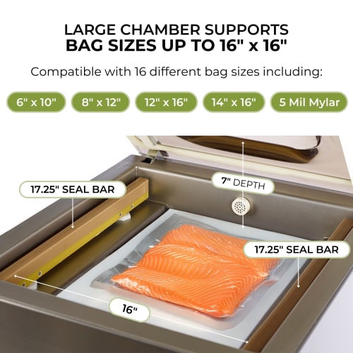 VacMaster VP321 Chamber Vacuum Sealer w/ (2) 17" Seal Bars, 110v